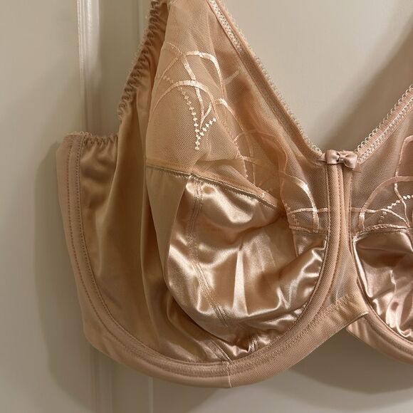 Elomi Cate Full Cup Banded Bra EL4030 Latte NEW Size 40I Underwire - Picture 3 of 14